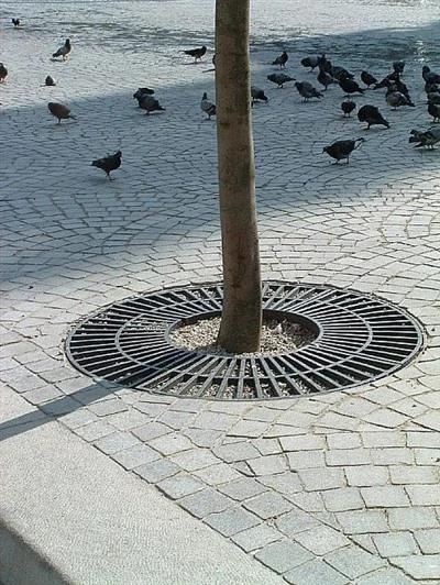 Metalinės medžio grotelės Savivaldybės gražinimo projektas Medžių grotelės